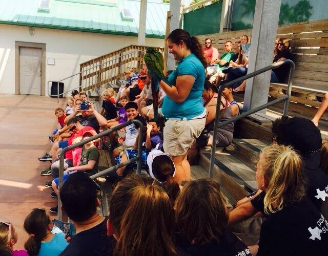 surf camp texas state aquarium